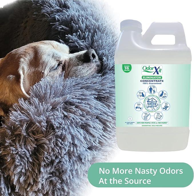 Concentrated Pet Urine Odor Eliminator, Ideal for Cat, Dog Poo and Urine Smell, Versatile & Natural Odor Neutralizer for Home and Outdoor Use, Deodorizer & Absorber, Concentrate, 64oz - NeatNest