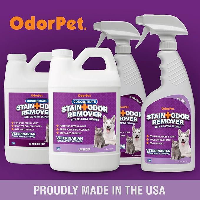OdorPet Pet Stain Remover and Odor Eliminator - 16 Oz Ready To Use Spray, Non Staining, Professional Strength, Lavender Scent by Alpha Tech Pet - NeatNest