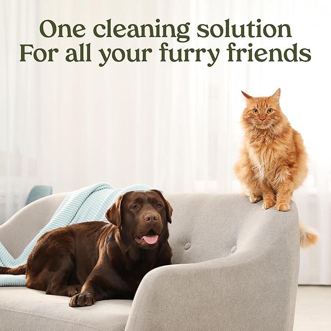 PAWFUME Stain & Pet Urine Odor Eliminator, 4-Pack – Removes Impurities in Seconds – Enzymatic Formula, Quick-Dry Action, & Eco-Friendly Ingredients – Upholstery, Fabrics, and Carpet Cleaner Spray - NeatNest