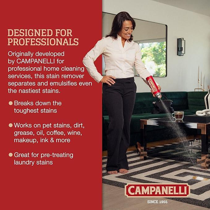 CAMPANELLI Pro Series Stain Remover Spray | Precision Point & Spray Carpet Cleaner for Pet Stains and Odors - Spot Remover for Carpets, Fabrics, Upholstery & Household Spills | 18oz Aerosol - NeatNest