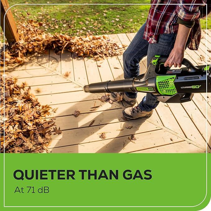 Greenworks 60V 450 CFM Cordless Leaf Blower, 2.0 Ah Battery and Rapid Charger - NeatNest