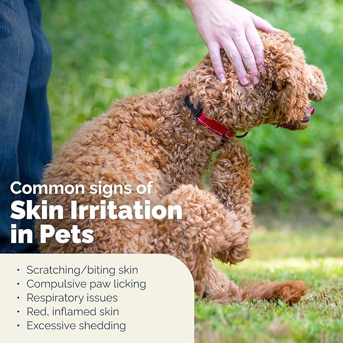 Vetnique Dermabliss Chlorhexidine for Dogs Skin Health - Antibacterial Medicated Spray - for Skin Infections & Irritation, Hot Spots & Redness Relief (Medicated Spray, 8oz) - NeatNest
