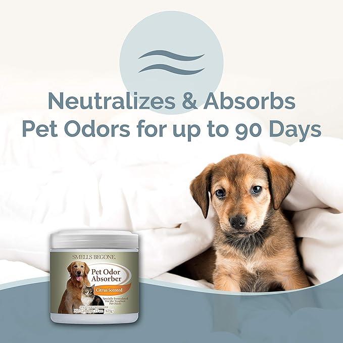 SMELLS BEGONE 15oz Gel Pet Odor Eliminator - Absorb & Remove Strong Odors from Pets, Cat Litter, Dog Poop, Urine Smells - Eliminate Whole Home Odors with Essential Oils (Citrus, 2-Pack) - NeatNest