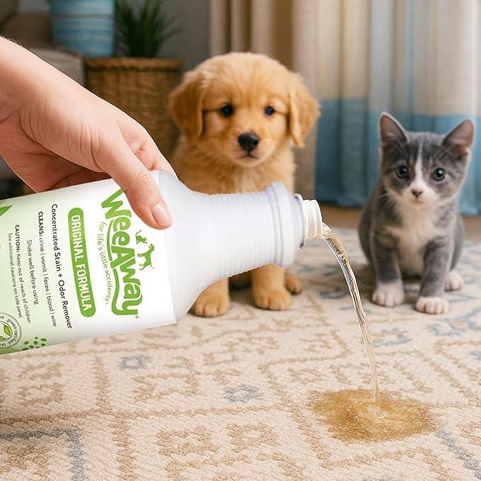 Wee Away Original Formula Concentrated Stain & Odor Remover, Enzyme Cleaner, Pet Urine Odor Eliminator for Home - Pet Mess Destroyer for Carpet & Furniture, Green Tea Scent, 32 fl oz - NeatNest