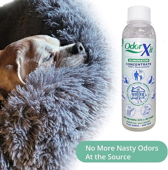 Concentrated Pet Urine Odor Eliminator, Ideal for Cat, Dog Poo and Urine Smell, Versatile & Natural Odor Neutralizer for Home and Outdoor Use, Deodorizer & Absorber, Concentrate, 4oz - NeatNest