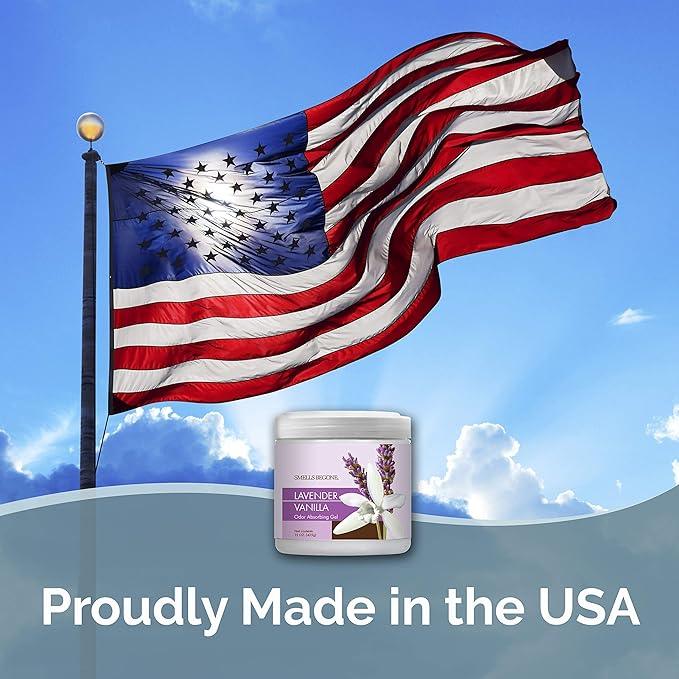 SMELLS BEGONE 15oz Gel Odor Eliminator - Absorb & Remove Tough Odors in Pet Areas, Bathrooms, Basements, Garage, Cars, RVs & Boats - Eliminate Odors with Essential Oils (Lavender Vanilla) - NeatNest