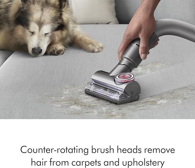 Dyson Ball Animal Total Clean Upright Vacuum, Corded, 290AW, Self-Adjusting Cleaner Head for All Floors, Homes with Pets - NeatNest