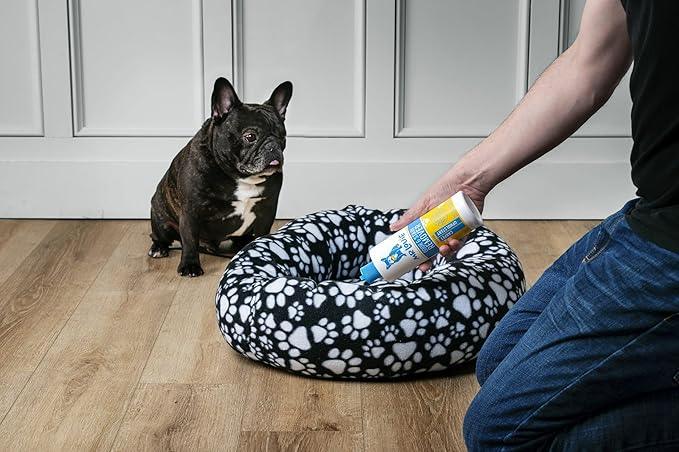 MR LOUIE ODOR & STAIN REMOVER - Safe For Use Around Kids and Pets. Incredibly tough on odors and stains from Blood, to Cat/Dog Urine, Feces, Vomit, to Food Stains like Ketchup, Red Wine, and Coffee. - NeatNest
