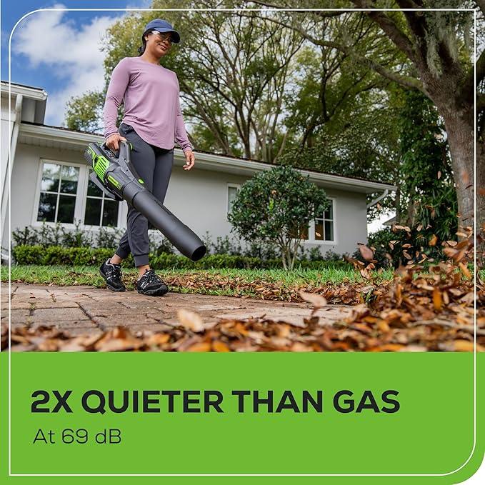 Greenworks 60V (610 CFM / 130 MPH) Cordless Leaf Blower, High Power, Lightweight & Quiet Operation for Wet Leaves, Driveways and Dense Gravel, Includes 2.5Ah Battery & 5A Rapid Charger - NeatNest