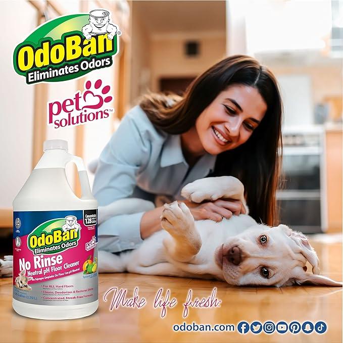 OdoBan Pet Solutions No Rinse Neutral pH Floor Cleaner Concentrate, Made in the USA, Splash O' Citrus Scent, 4 Gallons - NeatNest