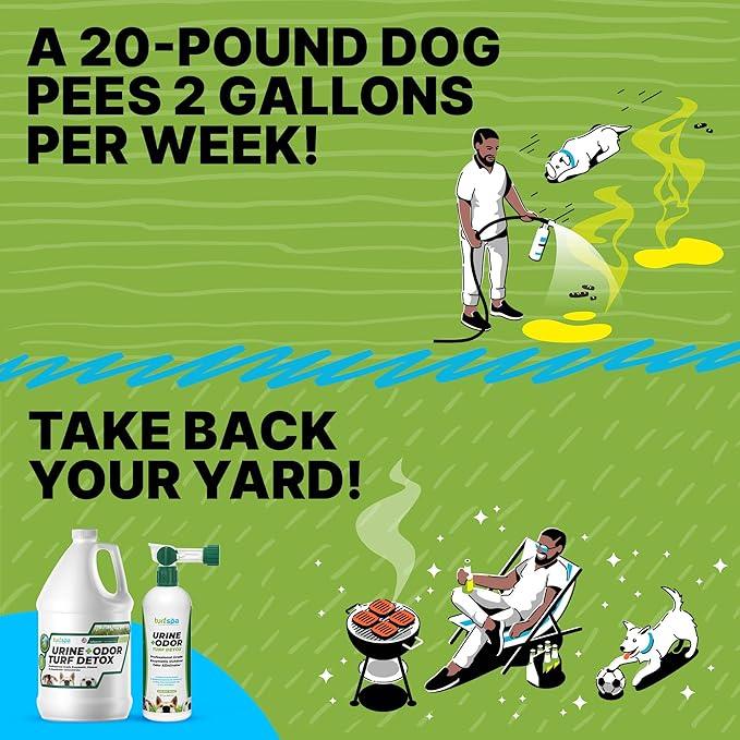 Urine & Odor Turf Detox: Gallon Refill of Professional Enzyme Cleaner & Odor Eliminator for Artificial Grass, Turf, Concrete, Patio & Kennels, Pet Urine Enzymatic Cleaner for Dogs & Cats - NeatNest