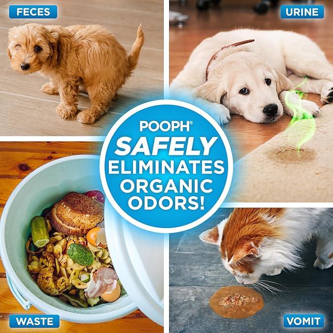 Pooph Pet Odor Eliminator, 32oz Spray, 2-Pack - Eliminates Odors at the Molecular Level, Dogs, Cats, Freshener, Eliminator, Urine, Poop, Pee, Deodorizer, Natures, Puppy, Fresh, Clean, Furniture, Potty - NeatNest