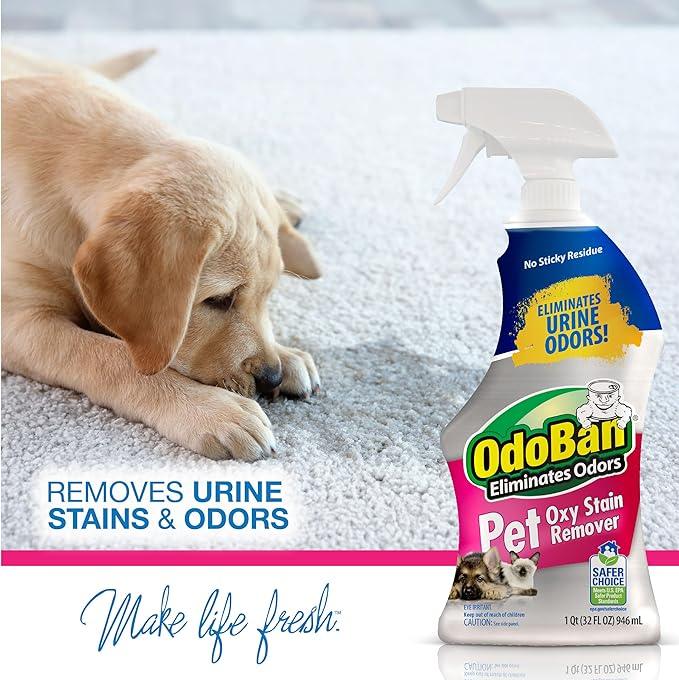 OdoBan Pet Solutions Oxy Stain Remover, Pet Stain Eliminator, Made in the USA, 8-Pack, 32 Ounce Spray Each - NeatNest