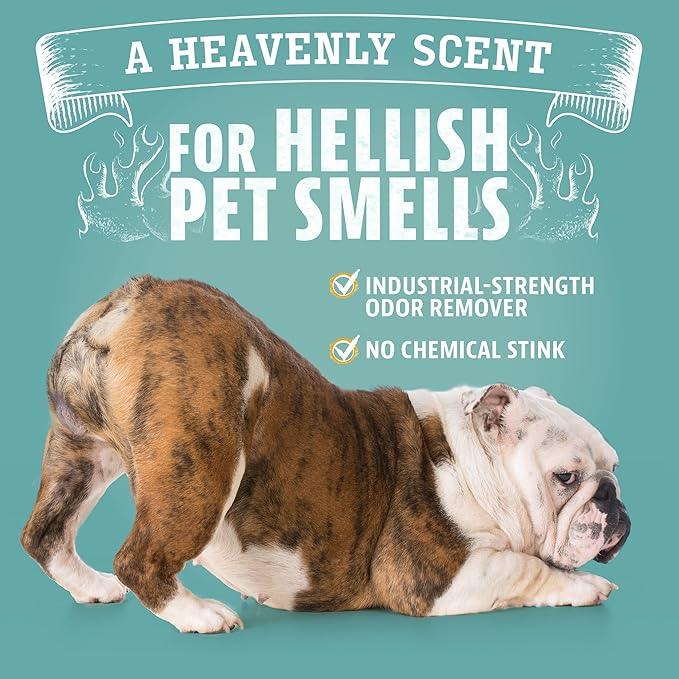 Angry Orange Pet Odor Eliminator for Dog and Cat Urine, Carpet Stains, and Strong Smells – Citrus Cleaner with Natural Orange Oil – 1 Gallon - NeatNest