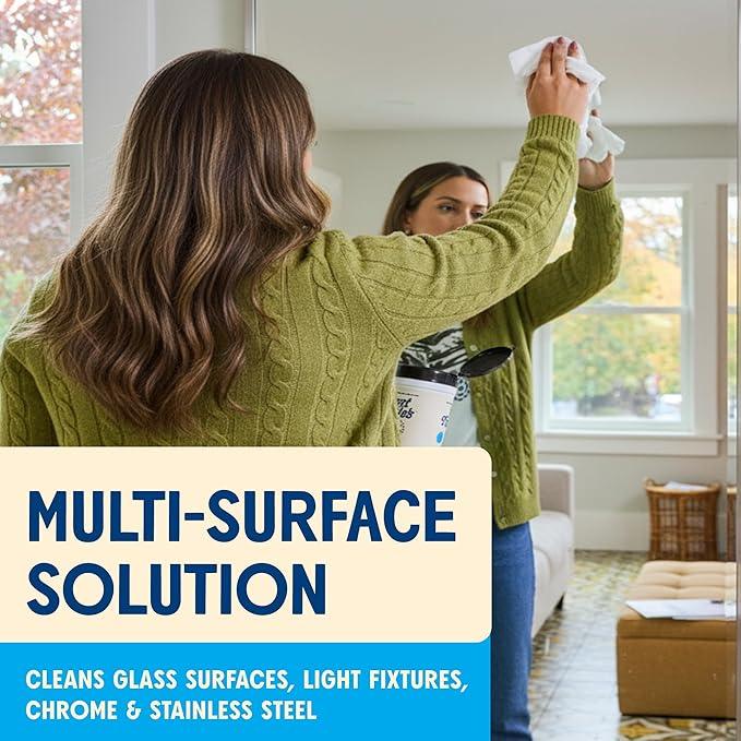 Aunt Fannie's Glass & Window Cleaning Wipes, Natural Streak-Free Glass Cleaner, 35 Count (Pack of 1) - NeatNest