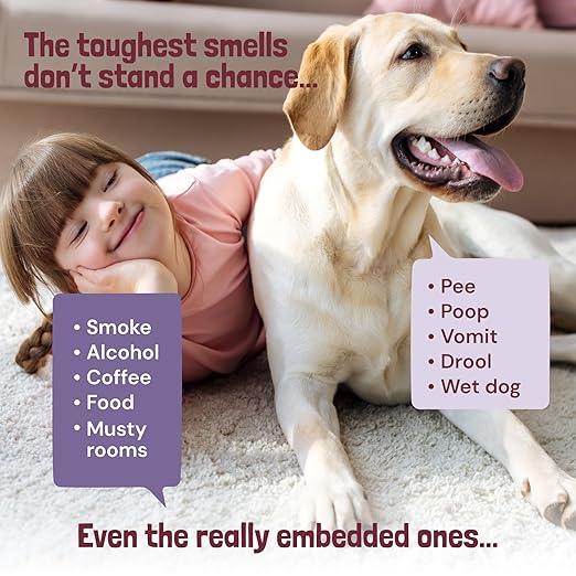 Sunny & Honey Carpet Freshener Powder - Surface Odor Eliminator for Upholstery, Furniture & Rugs, Kid & Pet Safe (20oz, Wildberry Scent) - NeatNest