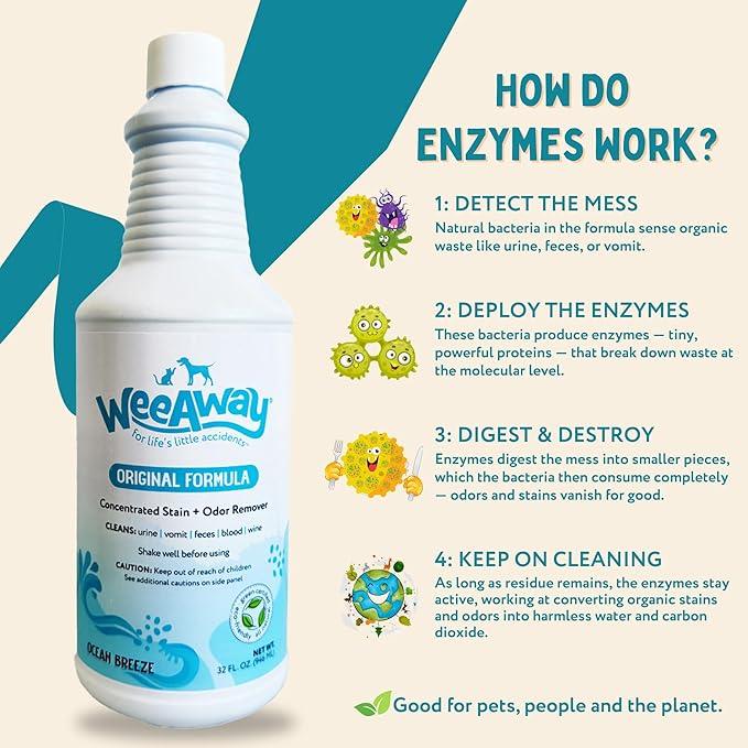 Wee Away Original Formula Concentrated Stain & Odor Remover, Enzyme Cleaner, Pet Urine Odor Eliminator for Home - Pet Mess Destroyer for Carpet & Furniture, Ocean Breeze Scent, 32 fl oz - NeatNest