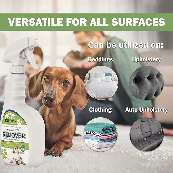 Pet Stain and Odor Remover - Enzyme Cleaner, Pet Urine Odor Eliminator Spray - Floor & Carpet Cleaner Spray, Pet Deodorizers For Home, Fabric Spray W/Fresh, Clean Scent, 32oz Spray - NeatNest