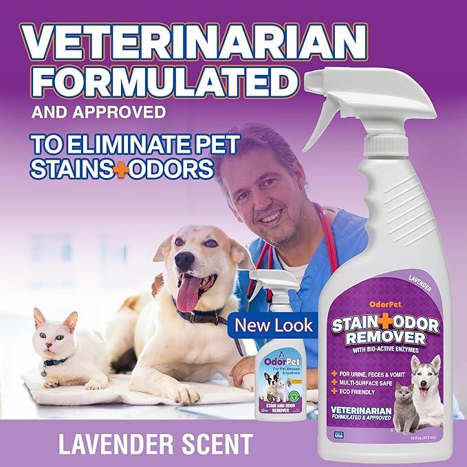 OdorPet Pet Stain Remover and Odor Eliminator - 16 Oz Ready To Use Spray, Non Staining, Professional Strength, Lavender Scent by Alpha Tech Pet - NeatNest