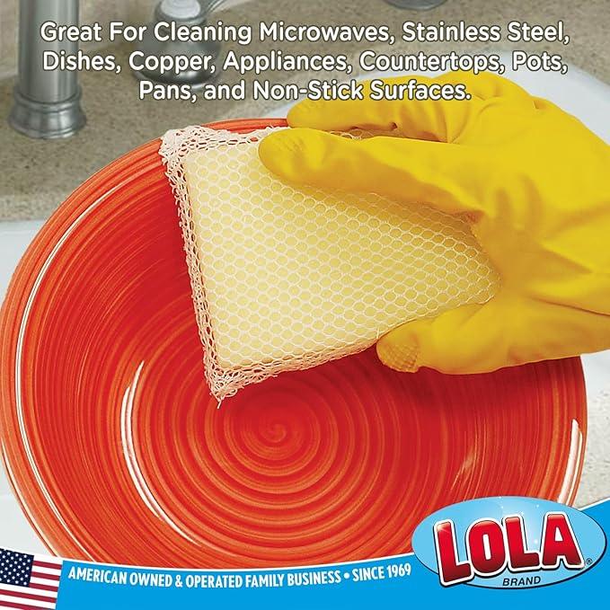 LOLA Microfiber & Nylon Net Sponges, 4 Pack, 2 Dual Sided Non Scratch Sponge Pads & 2 w/Microfiber Cloth One Side and Nylon Net Other Side - NeatNest