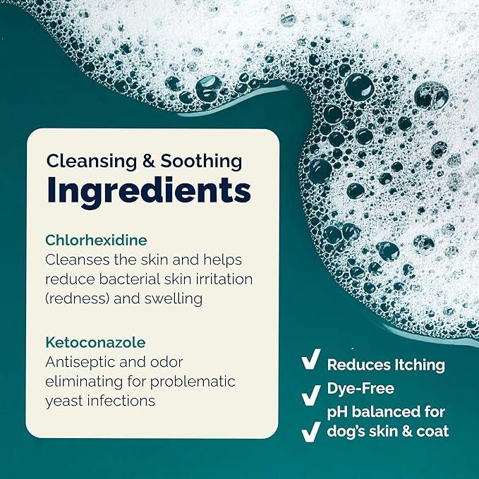 Vetnique Dermabliss Advanced Vet Strength Chlorhexidine for Dogs - Antibacterial Medicated Dog Shampoo - for Skin Infections & Irritation, Hot Spots & Redness Relief (Medicated Shampoo, 16oz) - NeatNest