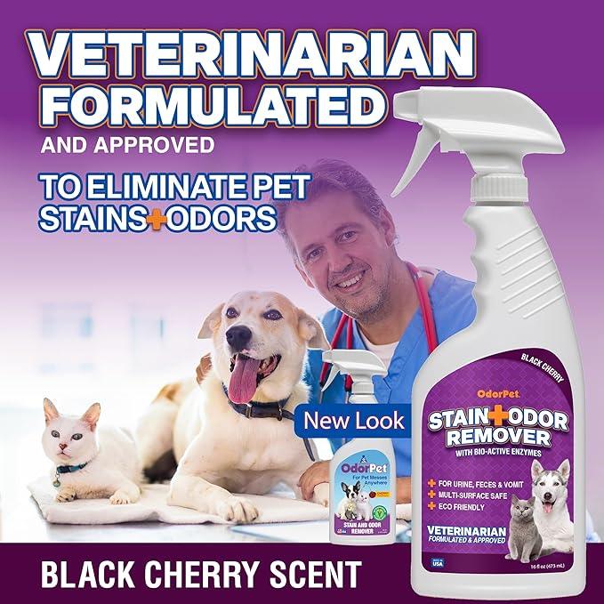 OdorPet Pet Stain Remover and Odor Eliminator - 16 Oz Ready To Use Spray, Non Staining, Professional Strength, Black Cherry Scent by Alpha Tech Pet - NeatNest