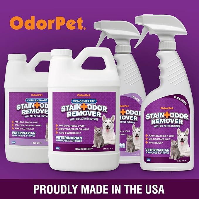 OdorPet Pet Stain Remover and Odor Eliminator - 16 Oz Ready To Use Spray, Non Staining, Professional Strength, Black Cherry Scent by Alpha Tech Pet - NeatNest