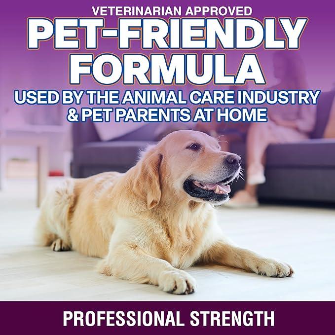 OdorPet Pet Stain Remover and Odor Eliminator - 16 Oz Ready To Use Spray, Non Staining, Professional Strength, Black Cherry Scent by Alpha Tech Pet - NeatNest