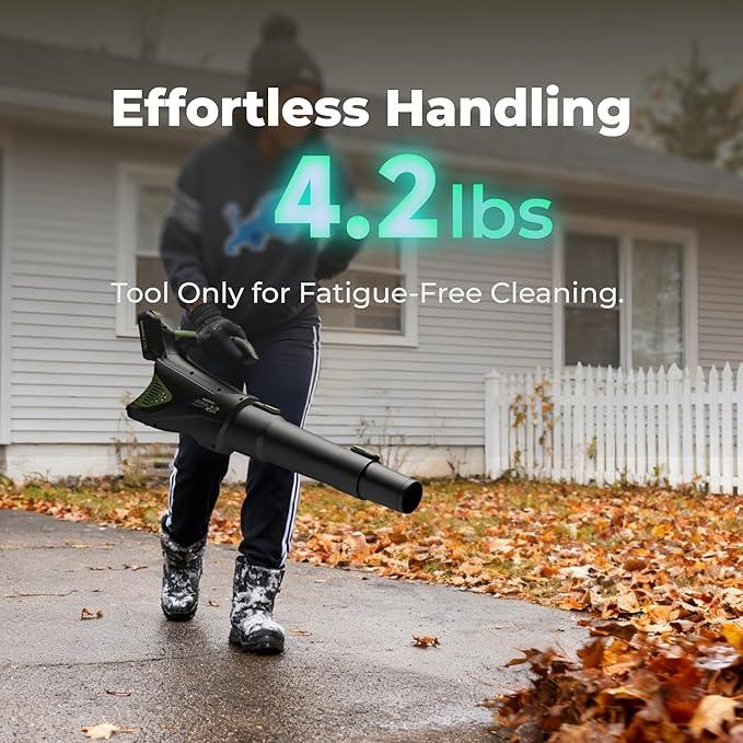20V Handheld Electric Cordless Leaf Blower with 2.0Ah Battery & Fast Charger, Powerful up to 93 MPH, 350 CFM Variable-Speed - NeatNest