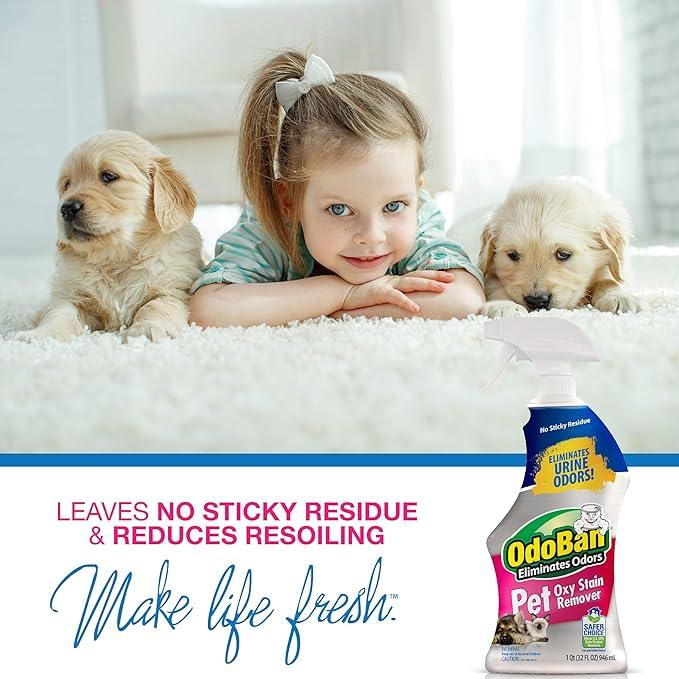 OdoBan Pet Solutions Oxy Stain Remover, Pet Stain Eliminator, Made in the USA, 4-Pack, 32 Ounce Spray Each - NeatNest
