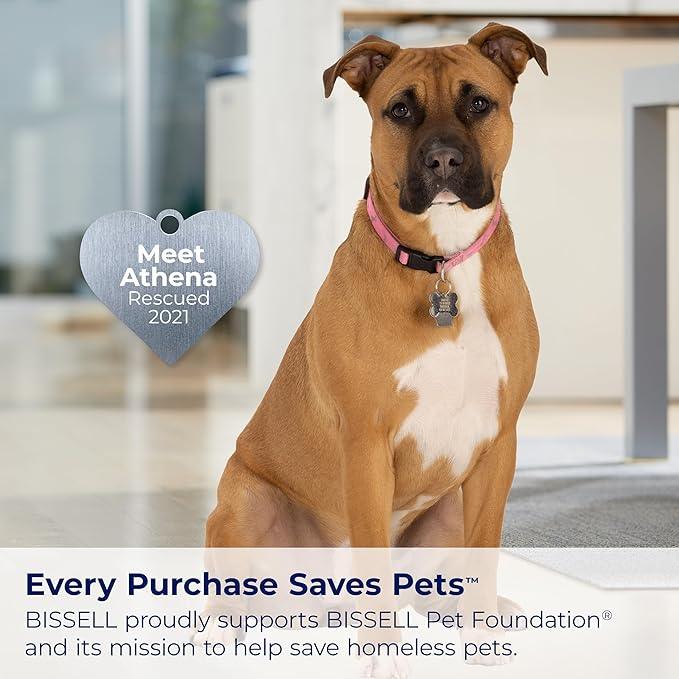 BISSELL TurboClean Pet XL Upright Carpet Cleaner, Upholstery Tough Stain Tool & Formula included, 3746 - NeatNest