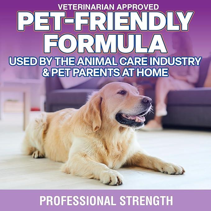 OdorPet Pet Stain Remover and Odor Eliminator - 16 Oz Ready To Use Spray, Non Staining, Professional Strength, Lavender Scent by Alpha Tech Pet - NeatNest