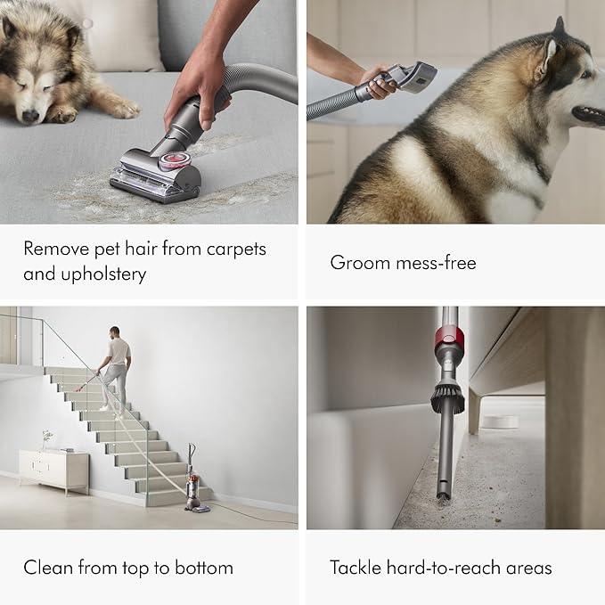 Dyson Ball Animal 3 Extra Upright Vacuum, Corded, 290AW, De-tangling Motorbar Cleaner Head for All Floors, 3 Suction Modes, Specialized pet Tools - NeatNest