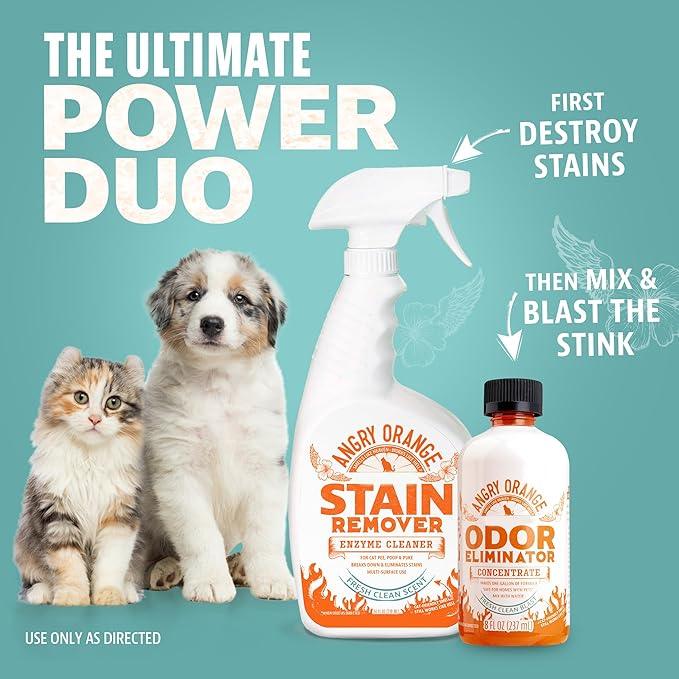 Angry Orange Pet Odor Eliminator Concentrate for Cat Urine and Smells - Fresh Scent - 8 oz (Makes 128 oz of Cleaner) - NeatNest