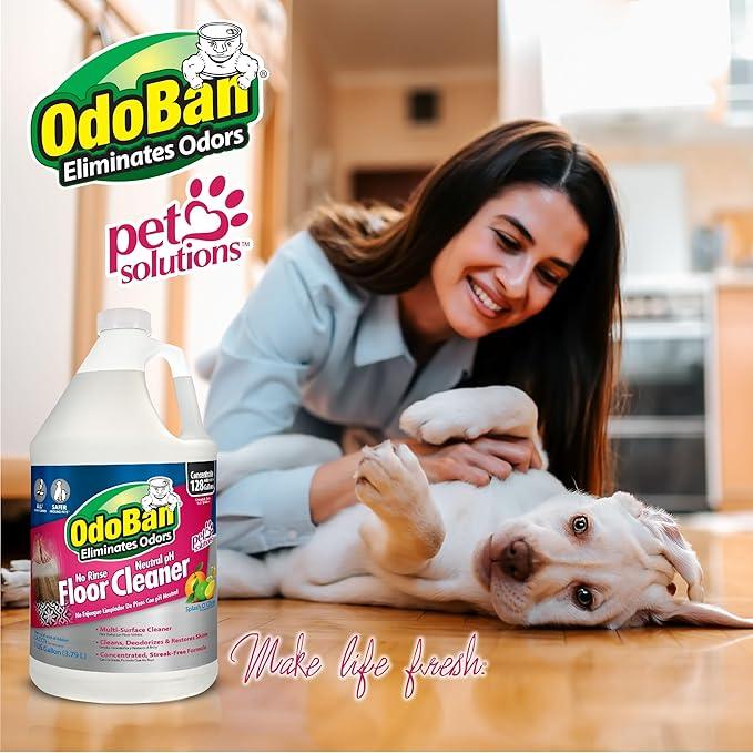 OdoBan Pet Solutions No Rinse Neutral pH Floor Cleaner Concentrate, Made in the USA, Splash O' Citrus Scent, 2 Gallons - NeatNest