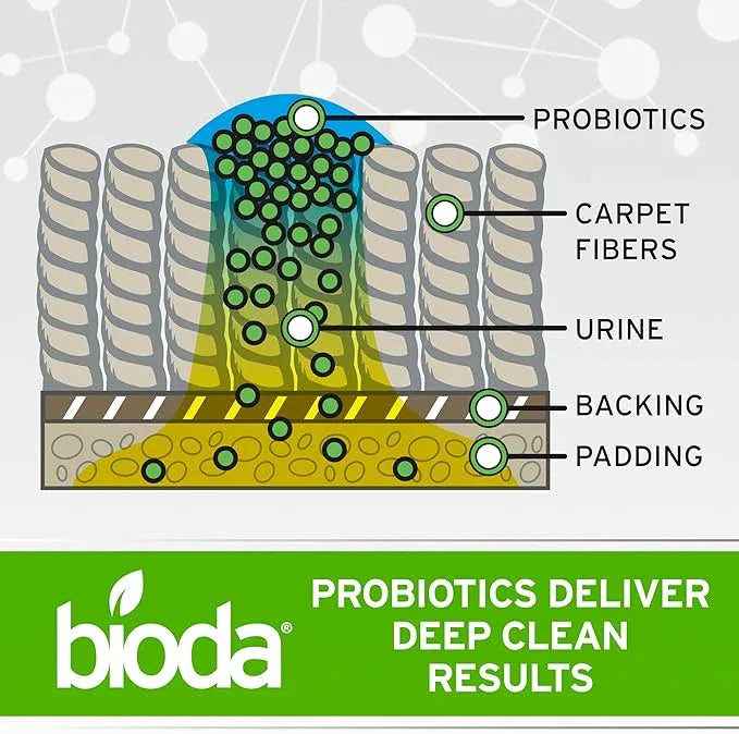 Bioda Multi-Purpose Probiotic Enzyme Cleaner and Deodorizer | Professional Strength | Trash Can Deodorizer, Pet Stains and Odors, Drains, Floors, Bathrooms, Toilets | Made in USA | 1 Gallon - NeatNest