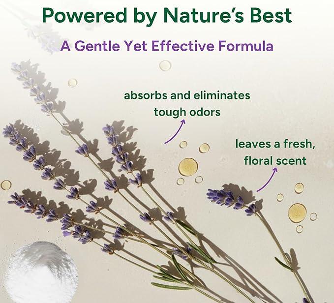 Good Natured Brand | Carpet Deodorizer & Freshener Powder | 31 oz Pet Odor Eliminator for Strong Odor & Pet Urine | Fresh Natural Lavender Scent | Safe for Homes with Pets - NeatNest