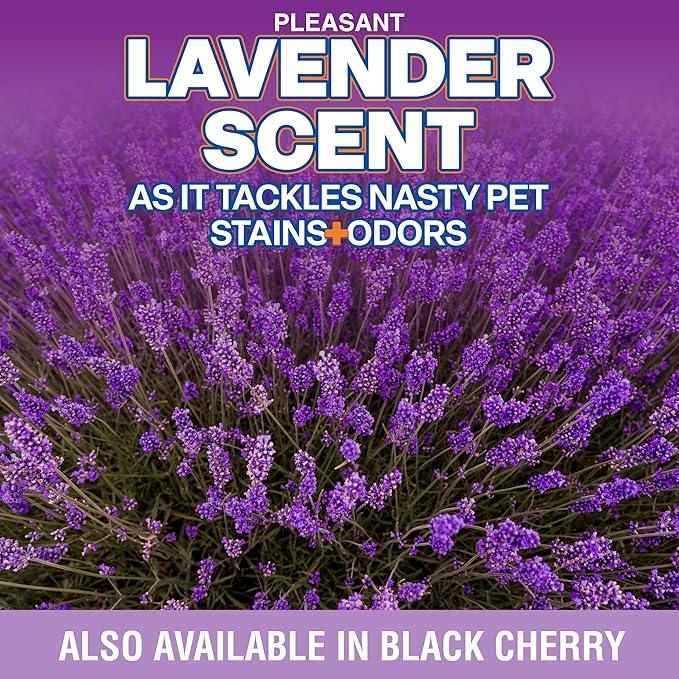 OdorPet Pet Stain Remover and Odor Eliminator - 16 Oz Ready To Use Spray, Non Staining, Professional Strength, Lavender Scent by Alpha Tech Pet - NeatNest
