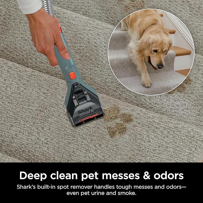 Shark CarpetXpert Upright Carpet, Area Rug & Upholstery Cleaner, Built-In Spot & Stain Remover & XL Tool, Perfect for Pets, Carpet Shampooer, 3 Cleaning Tools, Cleaning Solution, Slate Green, EX151 - NeatNest