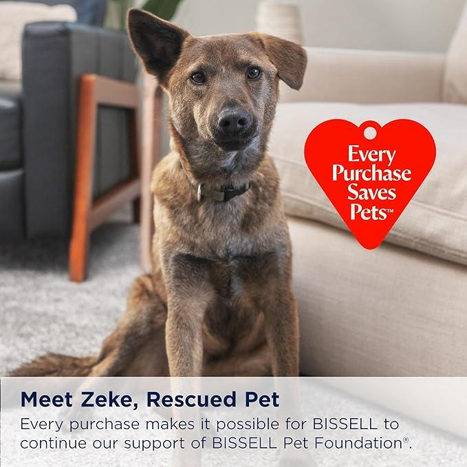 BISSELL® Little Green® Max Pet SmartMix Portable Carpet and Upholstery Deep Cleaner, Car/Auto Detailer, with SmartMix Technology, Self-Cleaning Tough Stain Tool and Pet Hair Removal Tool, 38572 - NeatNest