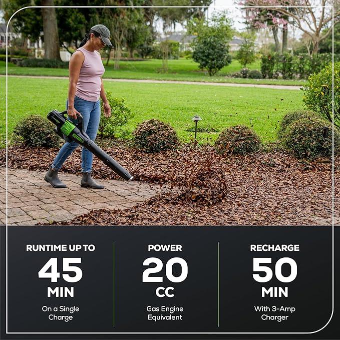 Greenworks 60V 450 CFM Cordless Leaf Blower, 2.0 Ah Battery and Rapid Charger - NeatNest