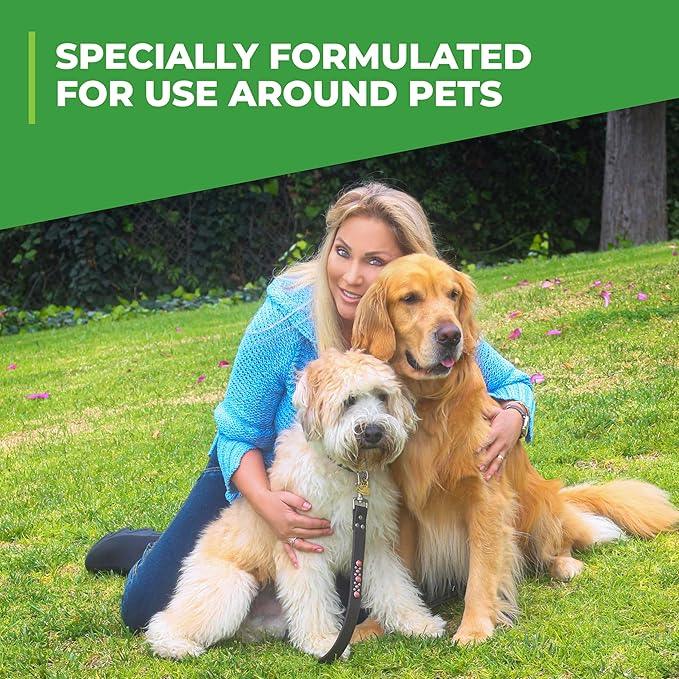Simple Green Outdoor Odor Eliminator for Pets, Dogs, Ideal for Artificial Grass & Patio (32 oz Hose End Sprayer & 1 Gallon Refill) - NeatNest