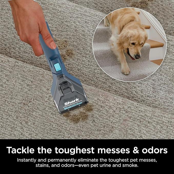 Shark CarpetXpert with Stain Striker, Upright Carpet, Area Rug & Upholstery Cleaner (Renewed) (Navy) - NeatNest