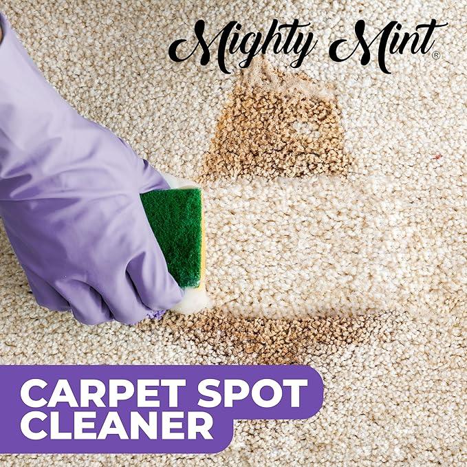 Mighty Mint Carpet Spot Cleaner, Spray to Remove Carpet Stains Instantly, Natural Peppermint Scent, 16oz - NeatNest