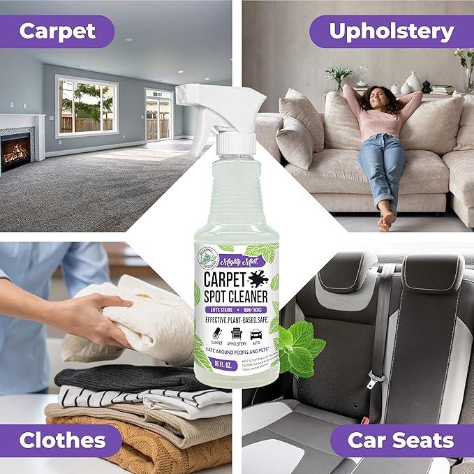 Mighty Mint Carpet Spot Cleaner, Spray to Remove Carpet Stains Instantly, Natural Peppermint Scent, 16oz - NeatNest