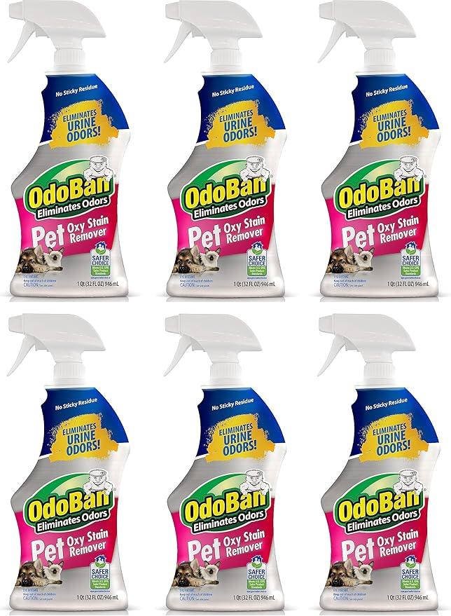 OdoBan Pet Solutions Oxy Stain Remover, Pet Stain Eliminator, Made in the USA, 6-Pack, 32 Ounce Spray Each - NeatNest