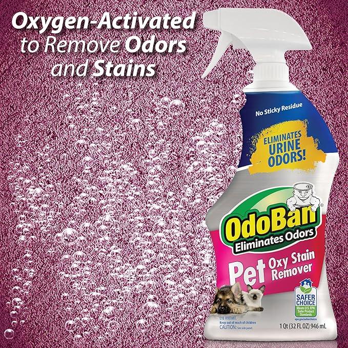 OdoBan Pet Solutions Oxy Stain Remover, Pet Stain Eliminator, Made in the USA, 4-Pack, 32 Ounce Spray Each - NeatNest